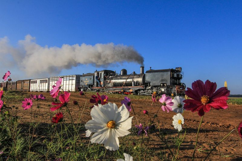 BOOK EXCERPT: Sandstone Estates – where steam locomotives bring SA railway history to life