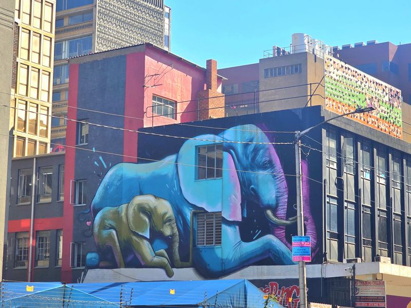 PHOTO ESSAY: Johannesburg’s walls are giant canvases for the city’s stories