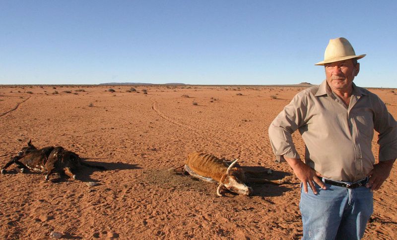 SUMMER SCORCHER: Weather service sounds El Ni&ntilde;o alarm for North-East, including Kruger Park