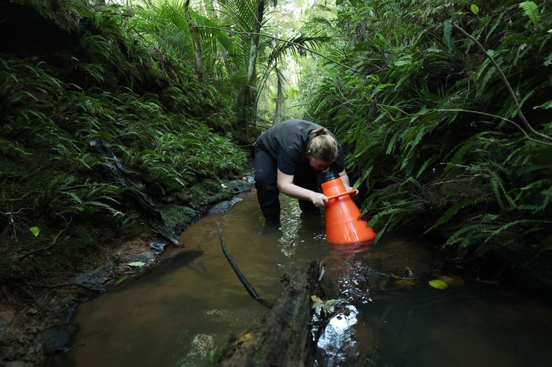 NEGOTIATING WITH NATURE: SA heads to COP17 with a practical plan to halt biodiversity loss